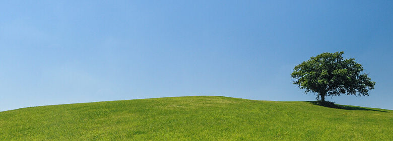 green-field